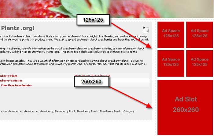 strawberry plants ad slots strawberry plants ad slots Sponsor