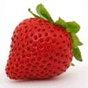 support-strawberry-plants-org.jpg