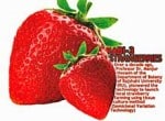 growing strawberries in bangladesh