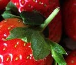 if you plant a strawberry top, will it grow a strawberry