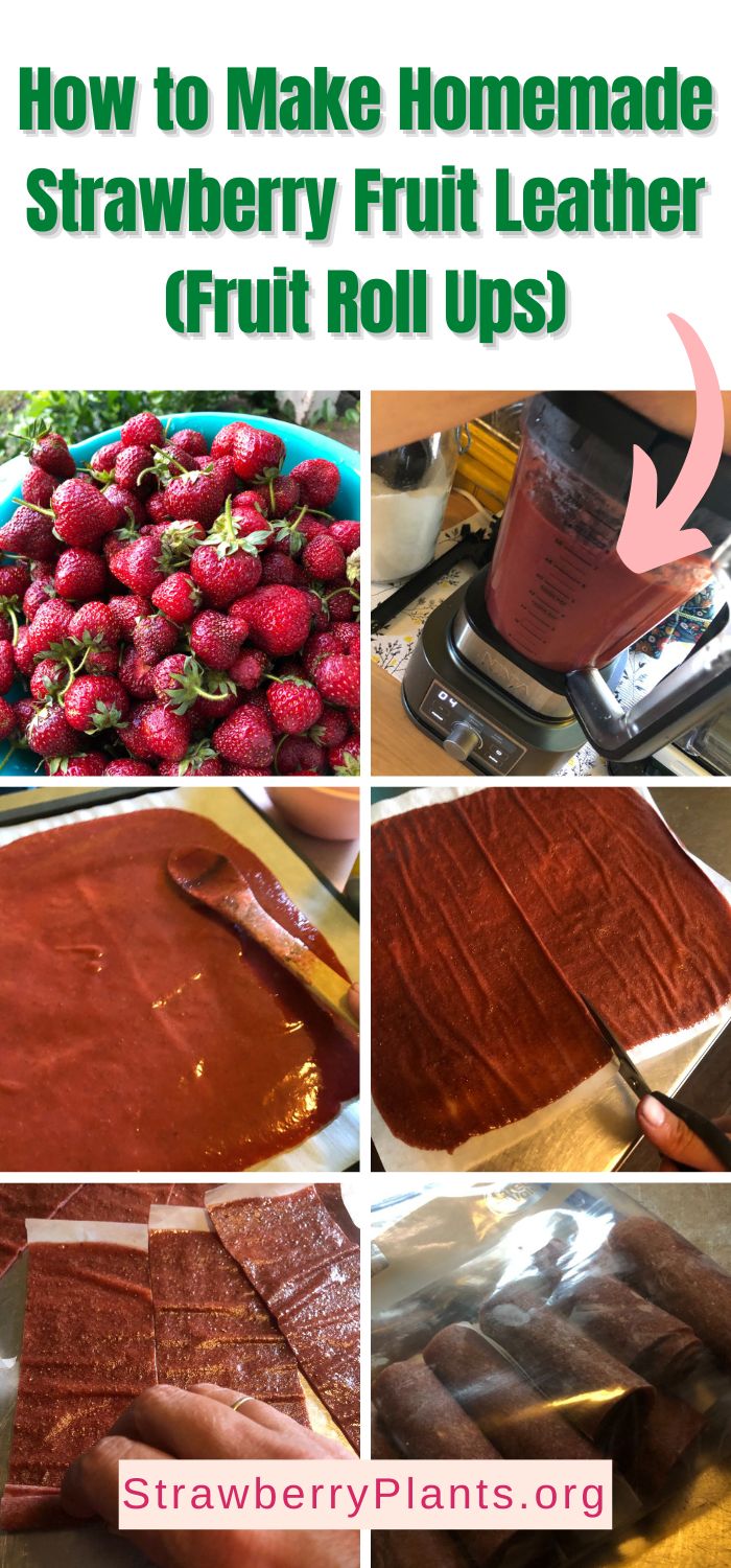 How To Make Homemade Strawberry Fruit Leather Fruit Roll Ups