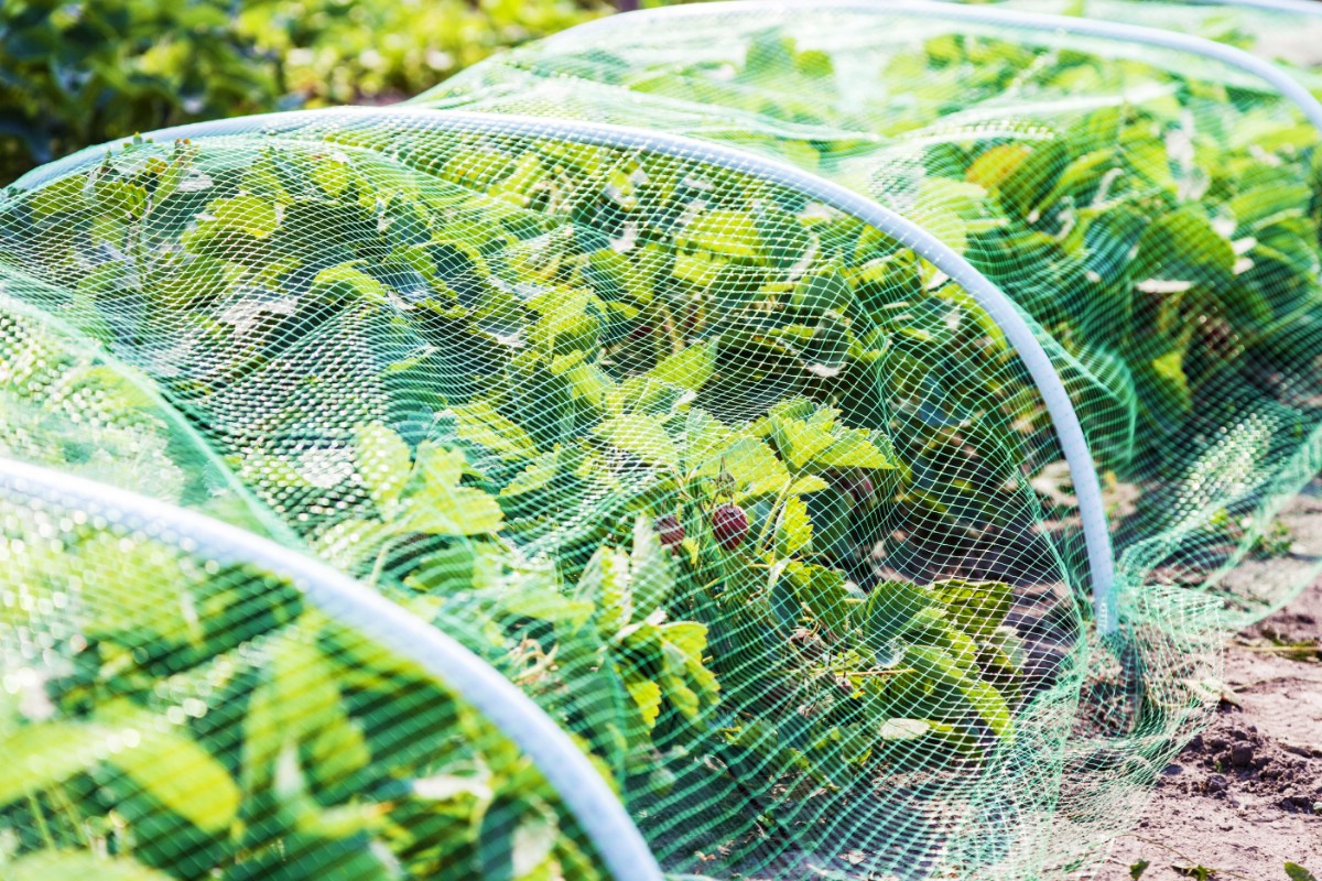 Bird netting applied with plastic tubes.