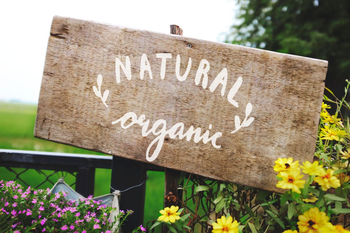 A rustic wood garden sign sits in an organic strawberry patch.