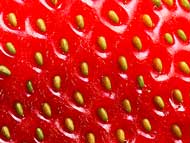 Strawberry Seeds All You Need To Know Updated 2021