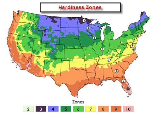 Zone 5 Planting Schedule 2022 Strawberry Planting Guide (Updated 2022)