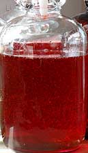 Homemade Strawberry Syrup Recipe | Strawberry Plants .org