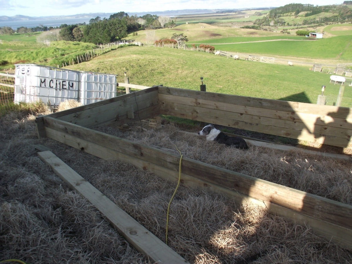 Assembling the raised bed almost finished.