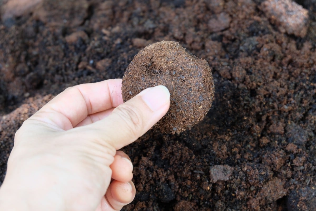 Coffee grounds used in garden.