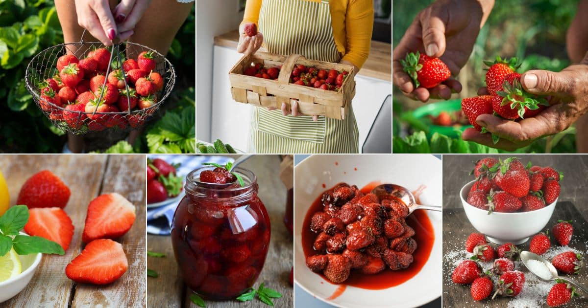 Ways To Improve The Flavor Of Fresh Strawberries  