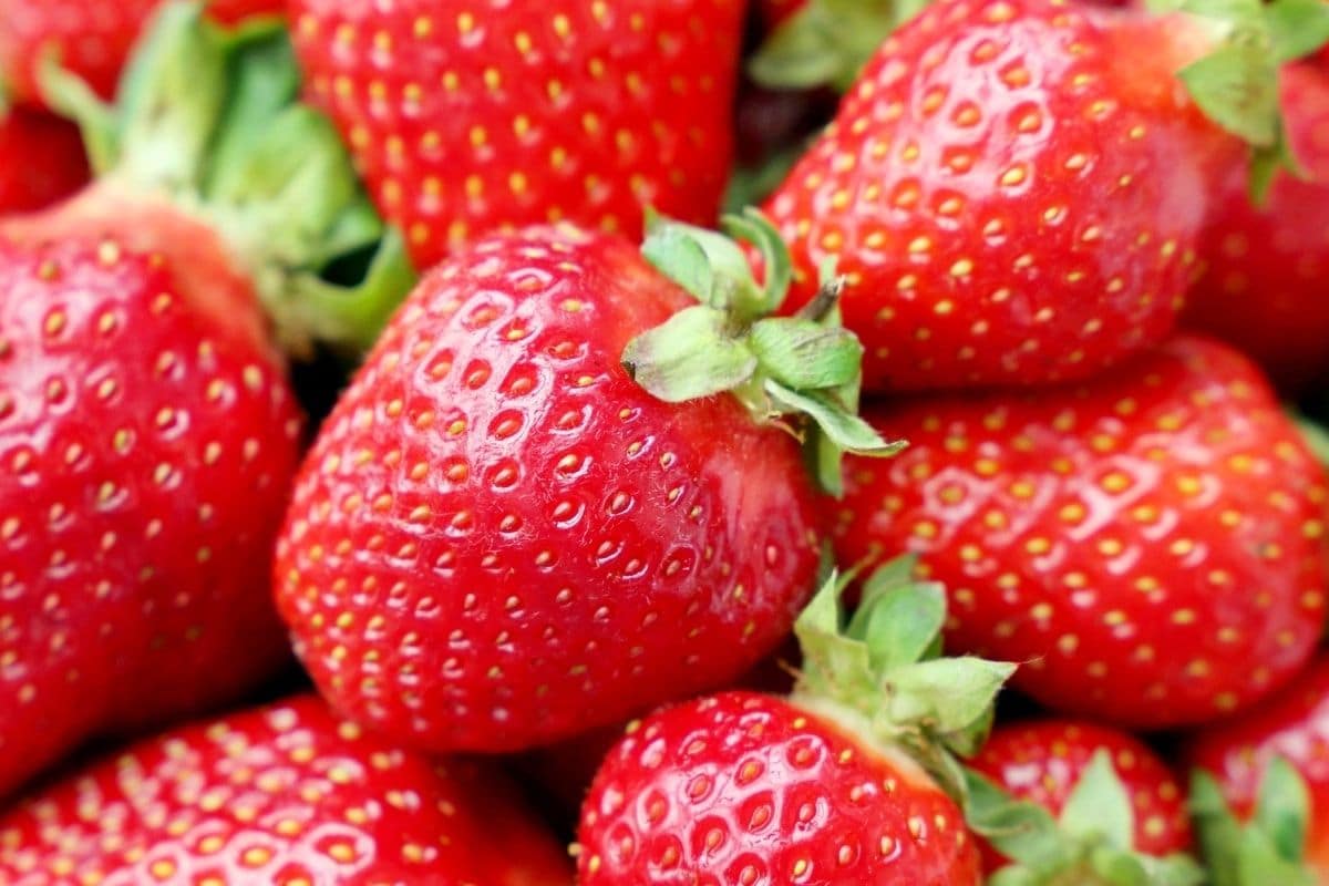 Close shot of ripe fresh srawberries