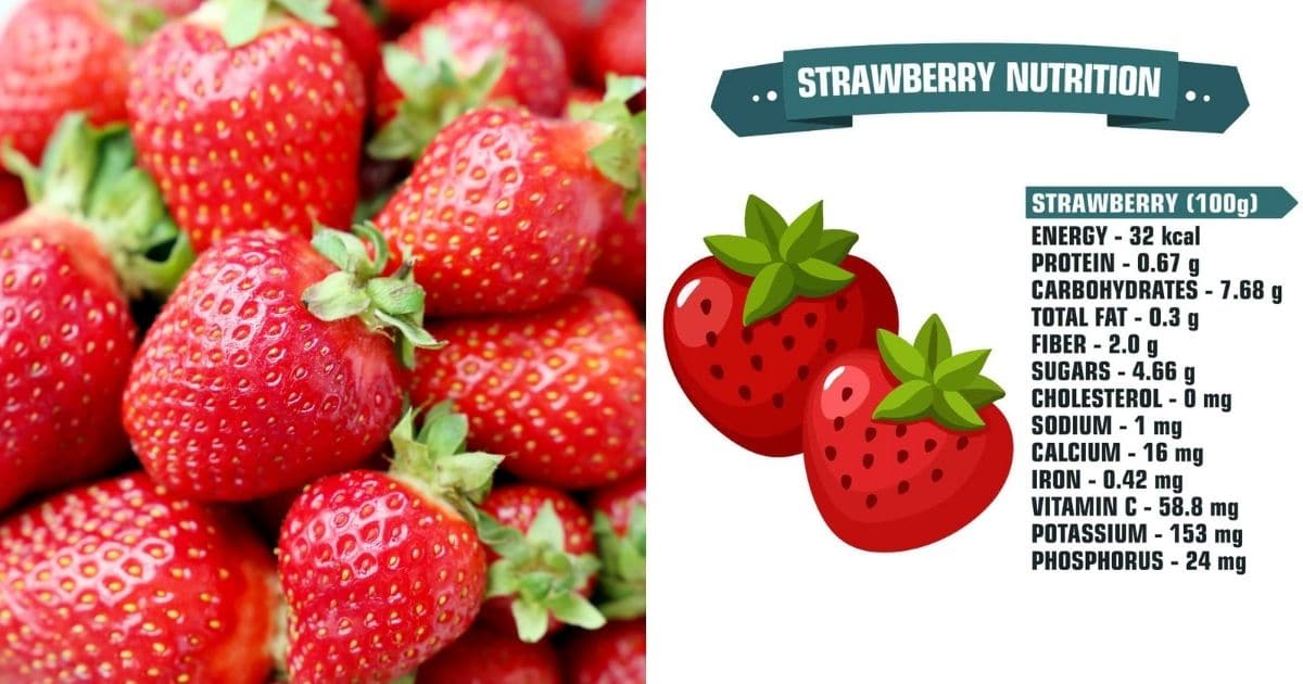 Nutritional Value Benefits Of Strawberries All You Need To Know 