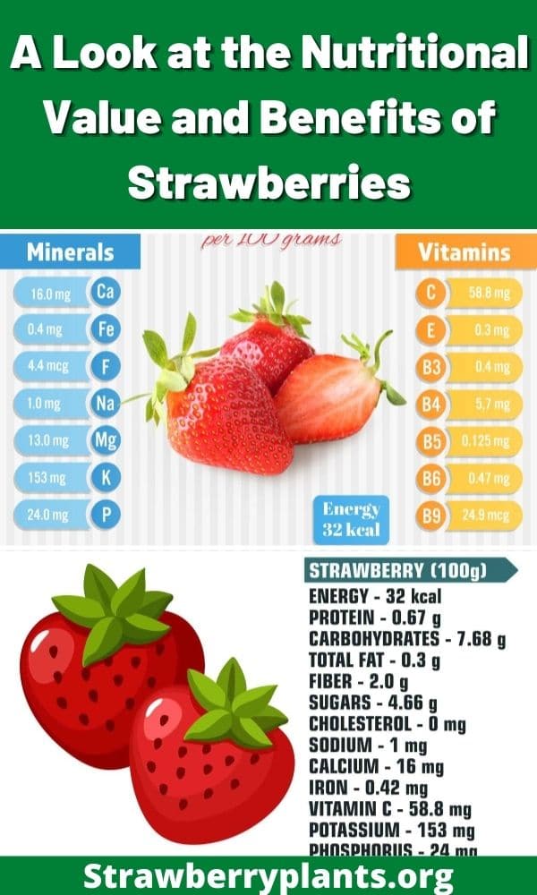 Nutritional Value & Benefits Of Strawberries (All You Need To Know)