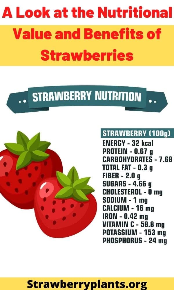 Nutritional Value And Benefits Of Strawberries All You Need To Know