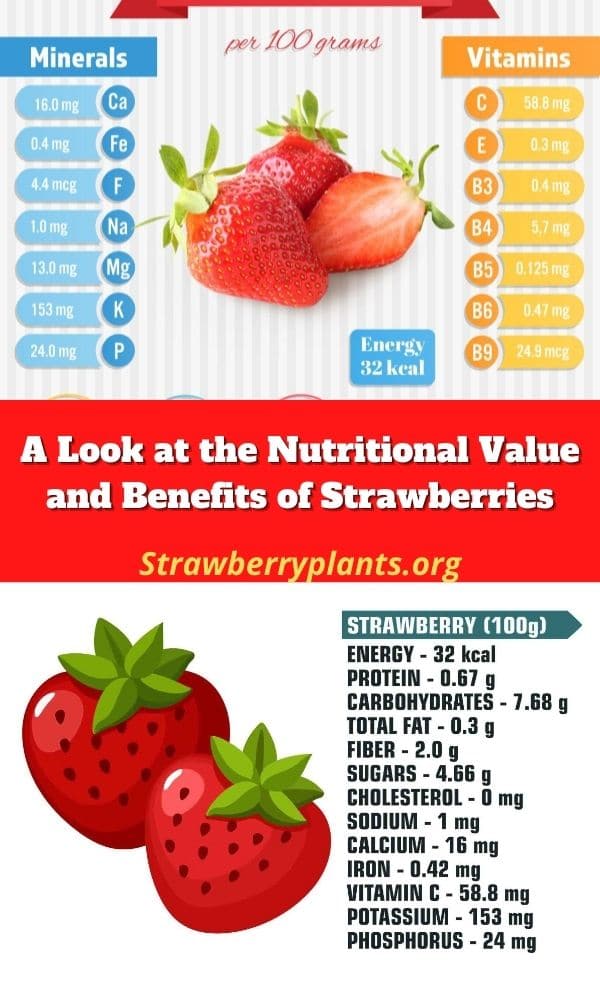 Nutritional Value & Benefits Of Strawberries (All You Need To Know)