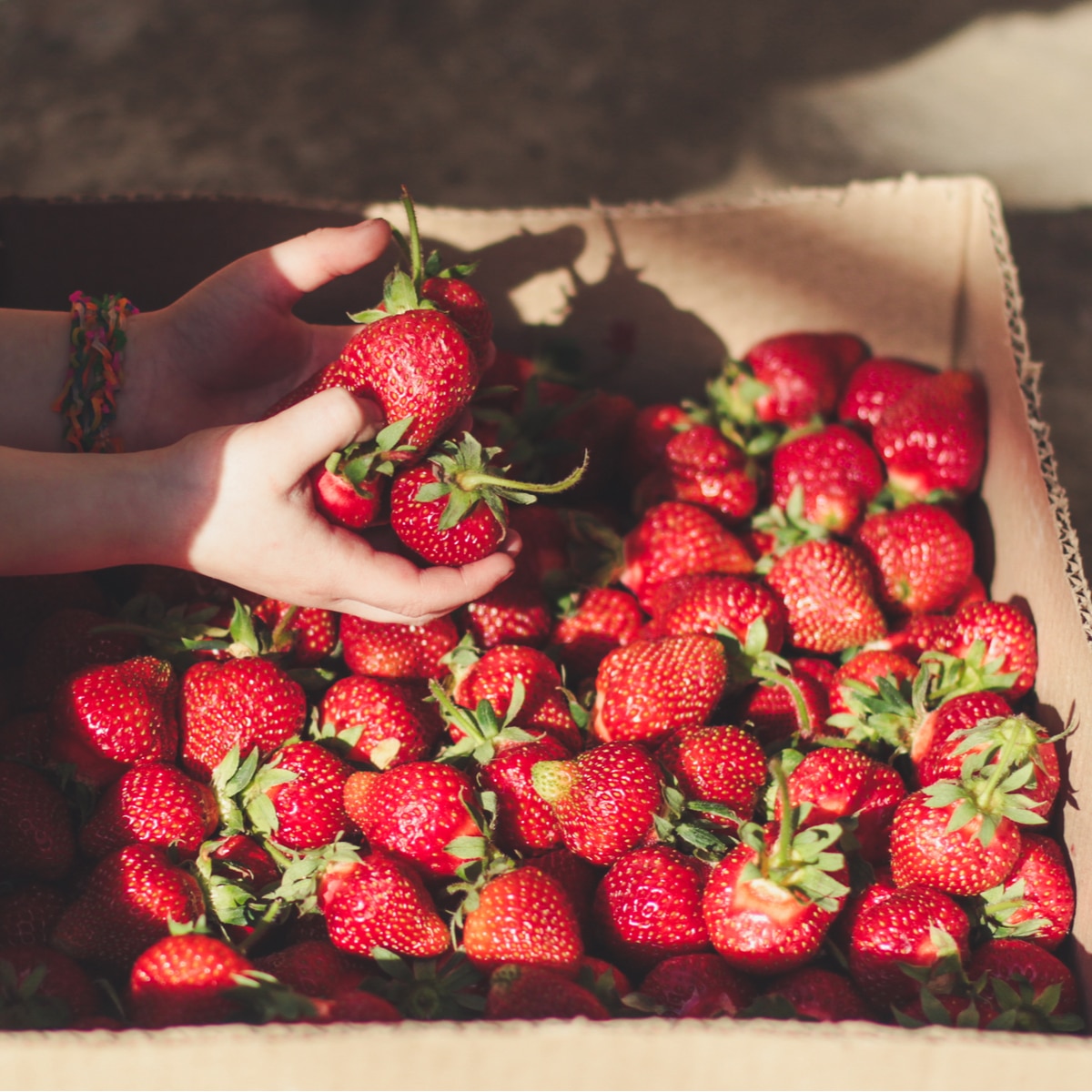 Hands holding ripe strawberries over crate full of strawberries