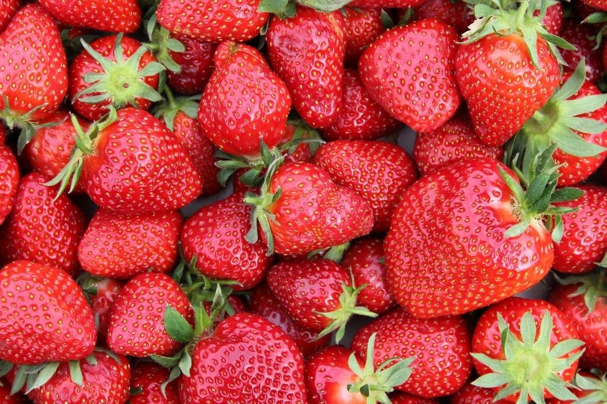Top shot of ripe fresh strawberries