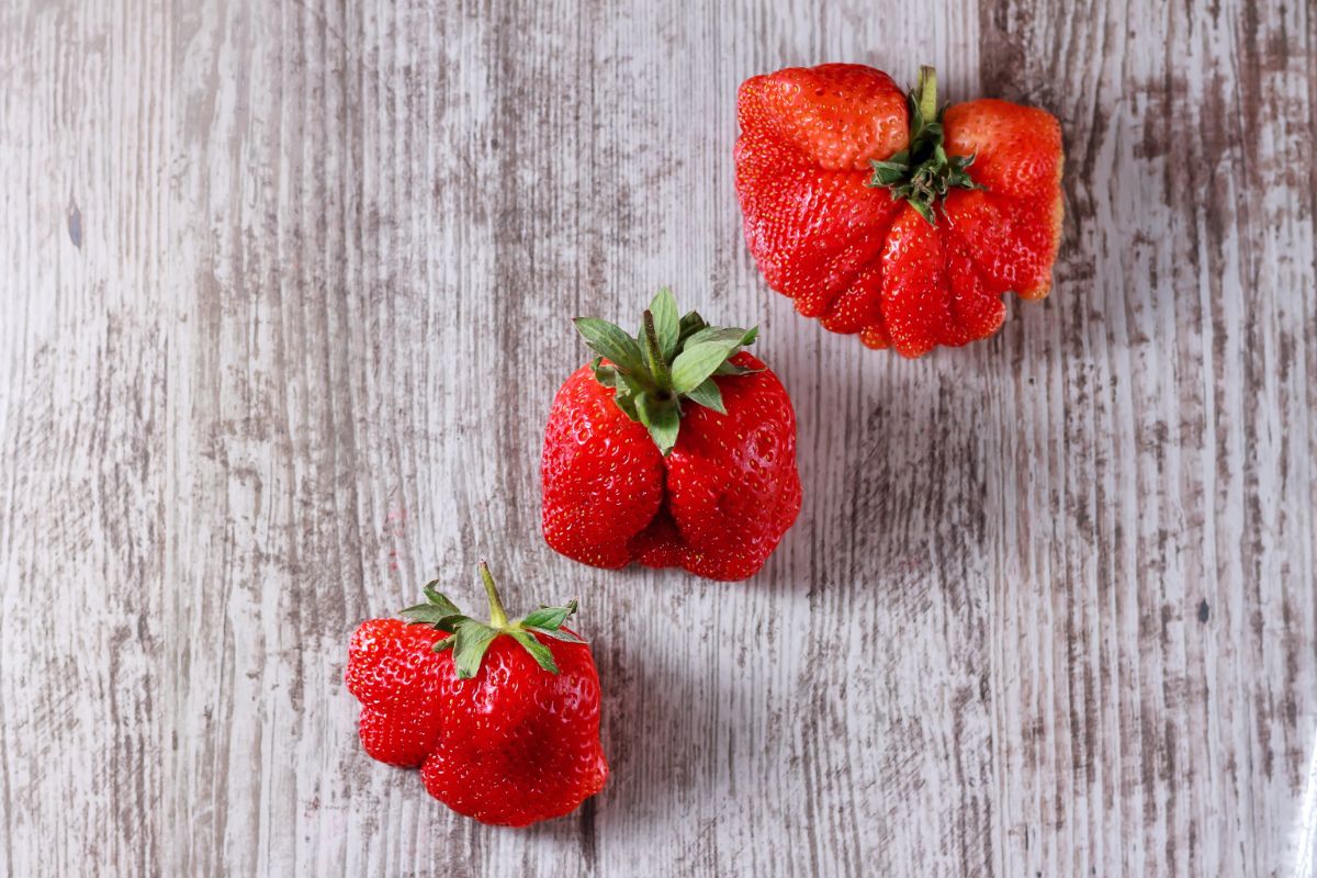 Deformed strawberries in multicolor background