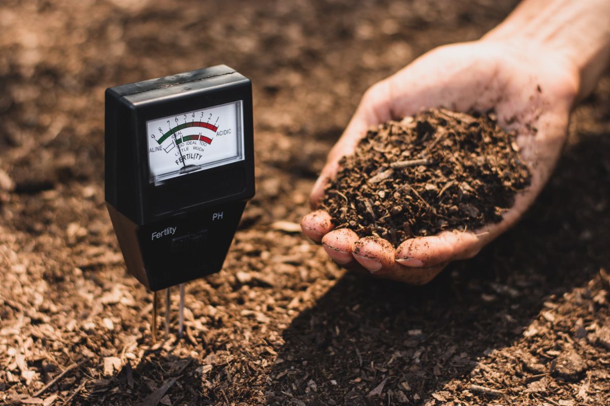 Ph scale pushed in soil with hand holding soil