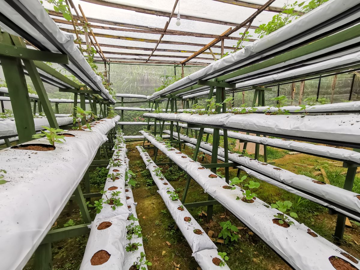 Smaller indoor hydroponic farm