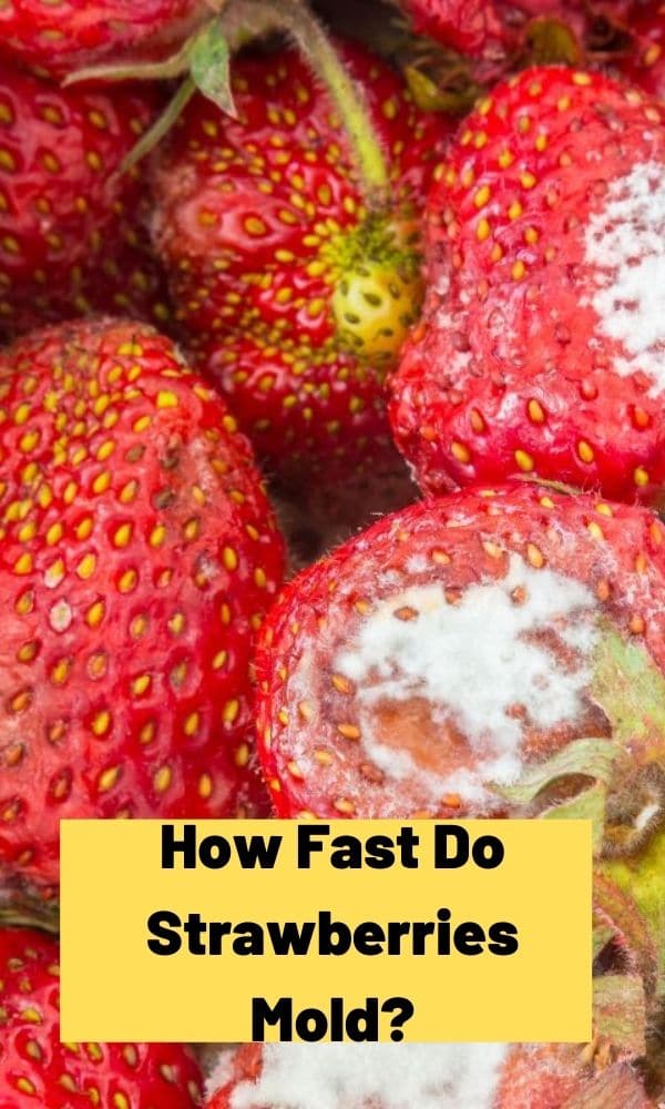 How Fast Do Strawberries Mold? Strawberry Plants