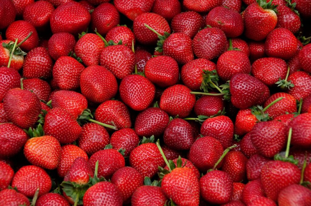 How Many Strawberries Do Strawberry Plants Produce?