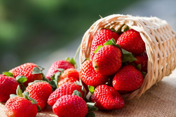 How to Boost the Sweetness of Your Strawberries (Guide)