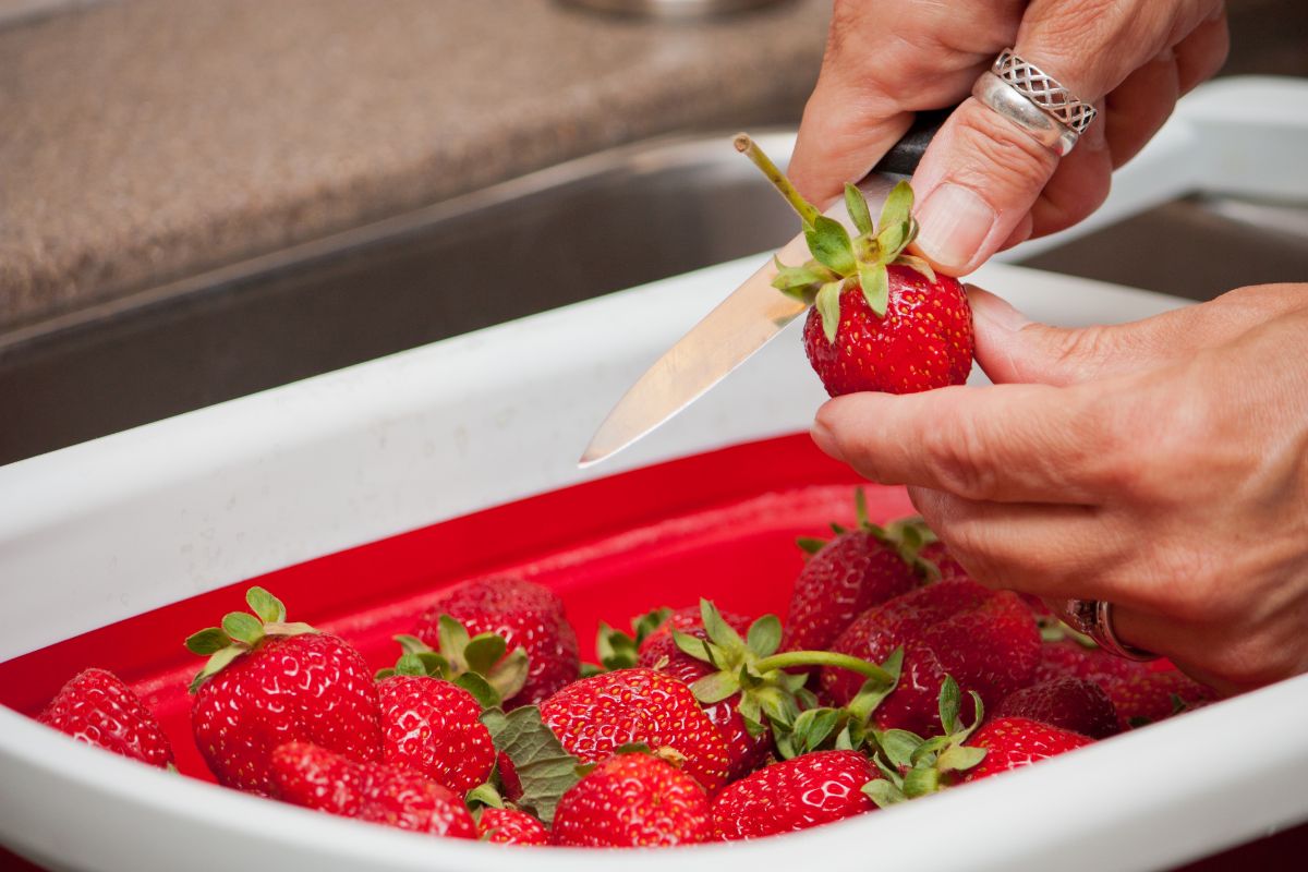 Hands holding knife hulling strawberry over plastic box of ripe strawberries