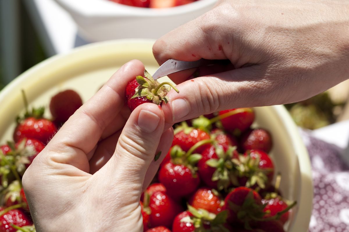 Hands holding knife and strawberry preparing to hull, full bowl of strawberries in background