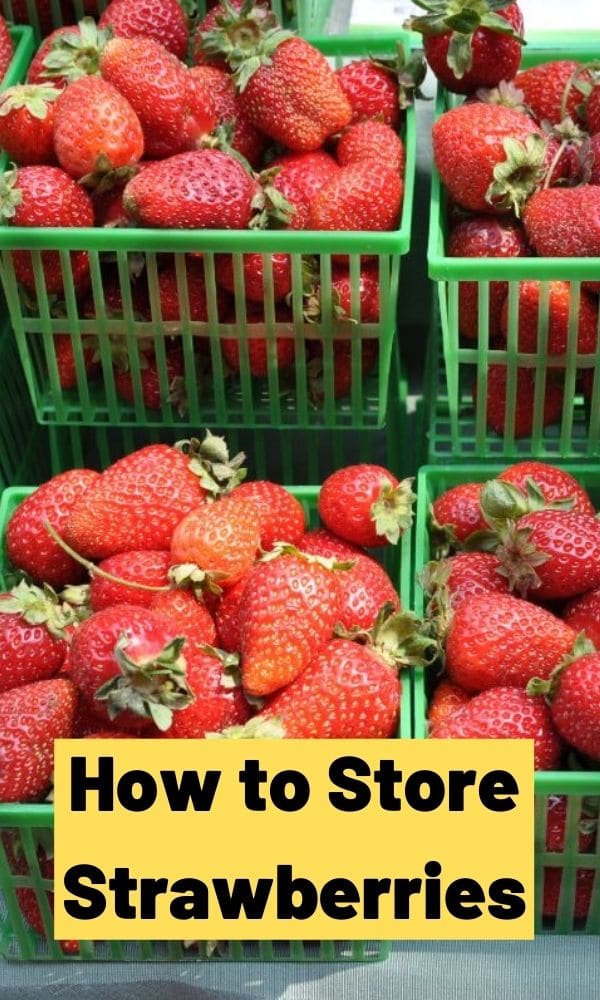 How To Store Strawberries P4 
