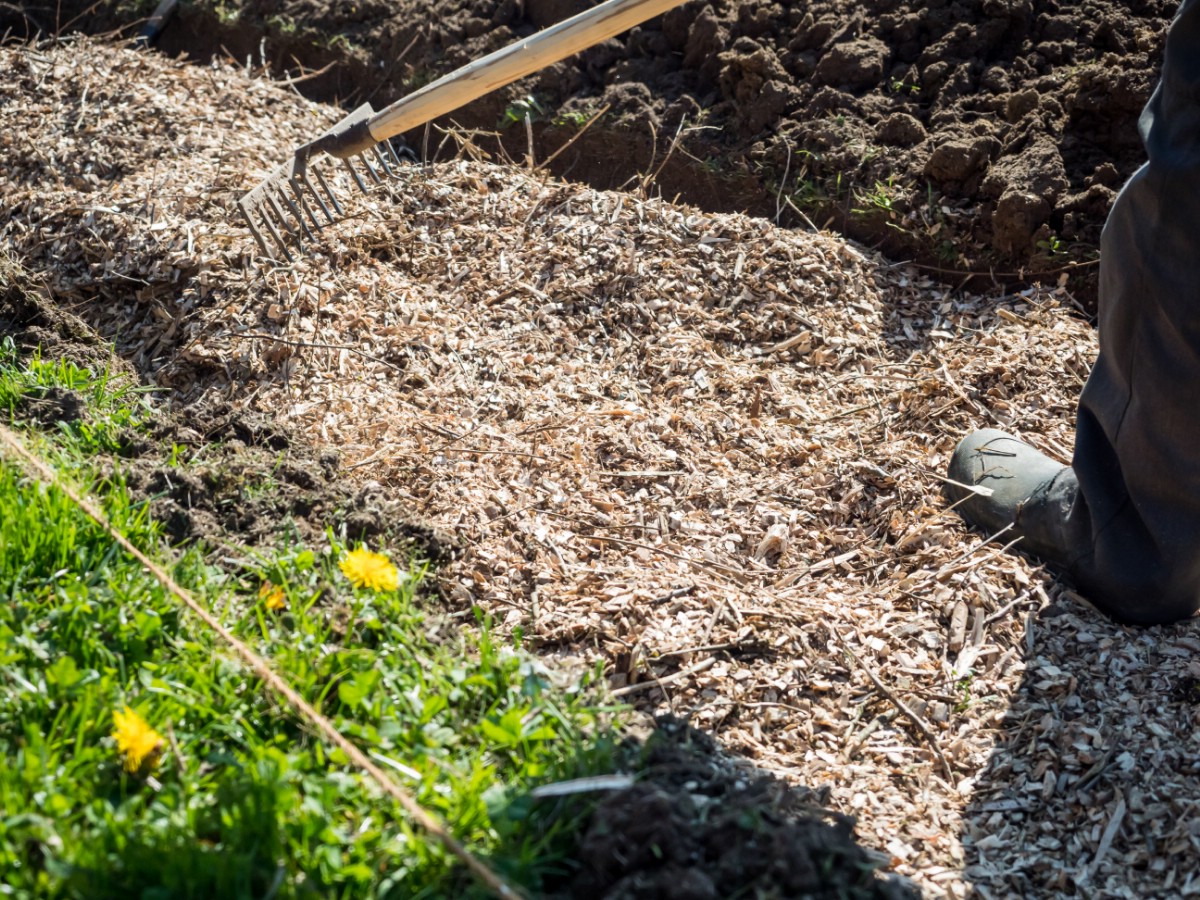 Preparing a hugelcultur strawberry bed.