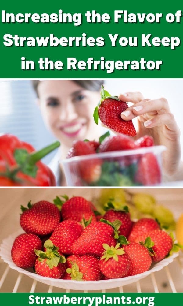 Increasing the Flavor of Strawberries You Keep in the Refrigerator