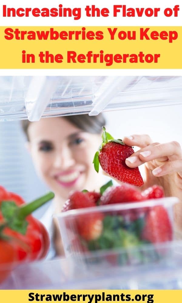 Increasing The Flavor Of Strawberries You Keep In The Refrigerator P2 