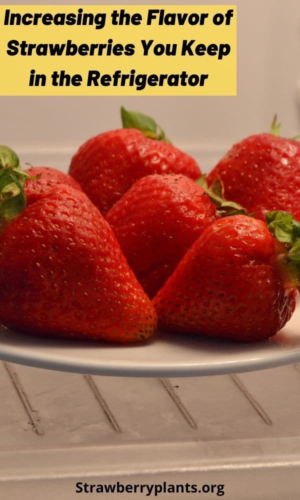 Increasing the Flavor of Strawberries You Keep in the Refrigerator