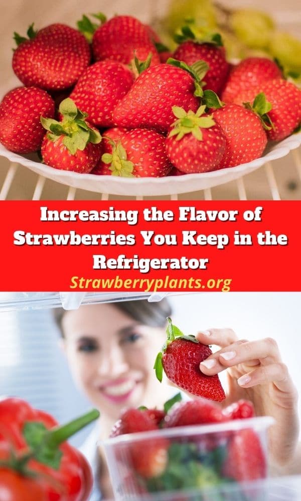 Increasing the Flavor of Strawberries You Keep in the Refrigerator