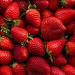 Fresh picked red strawberries fruit