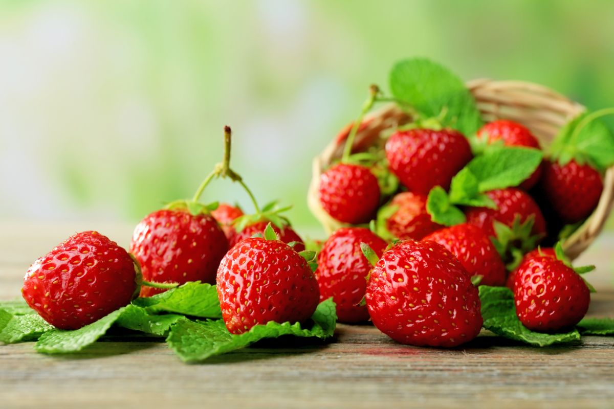 Fresh ripe strawberries with plant leaves on table