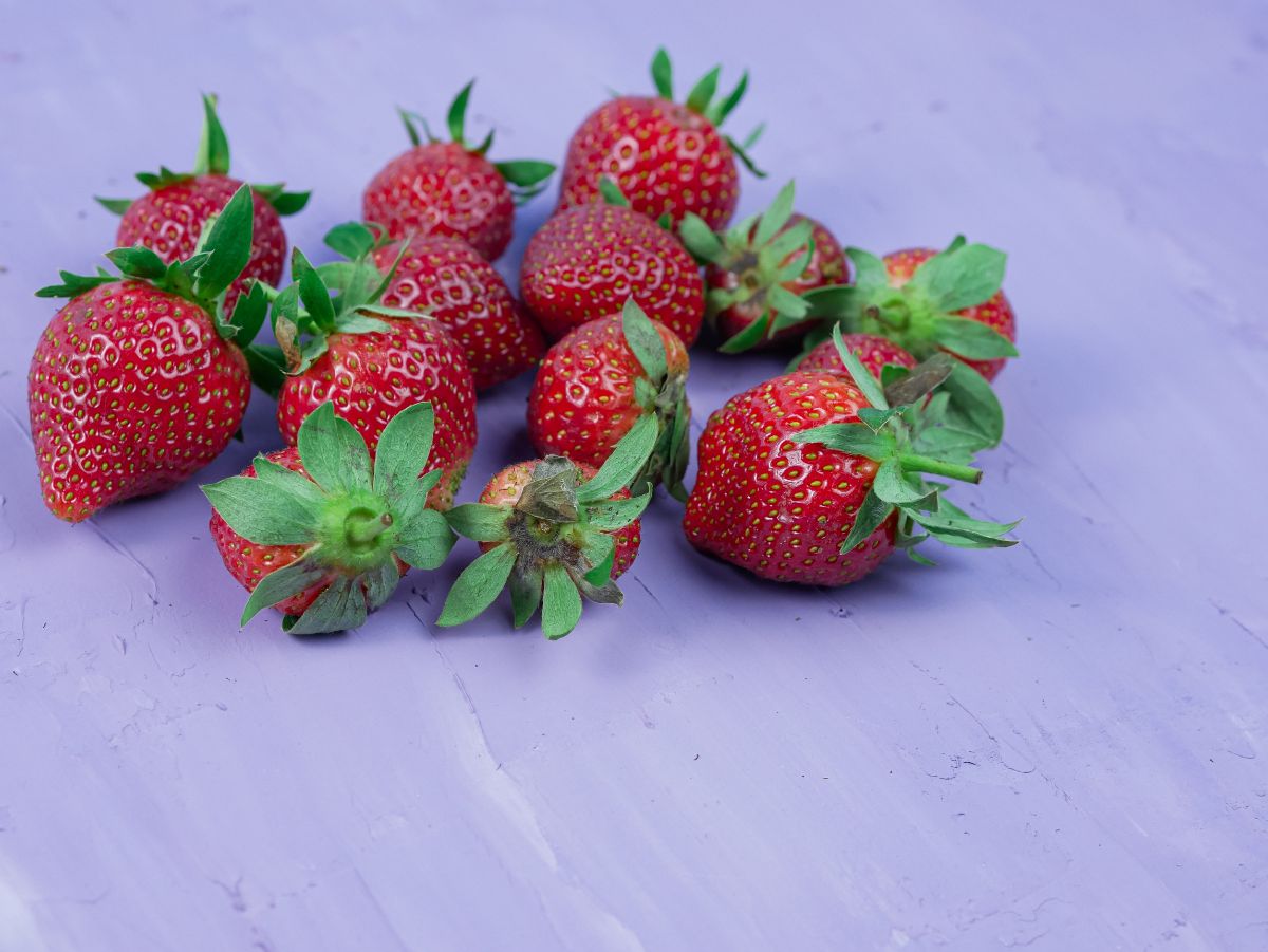 Bloody redish strawberries on purple background