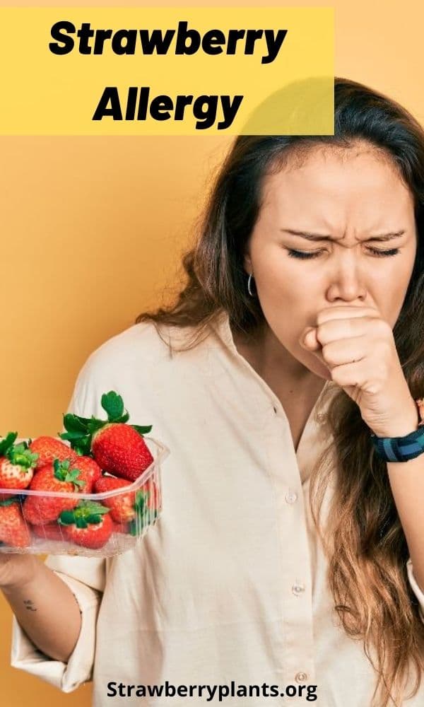 Strawberry Allergy Strawberry Plants