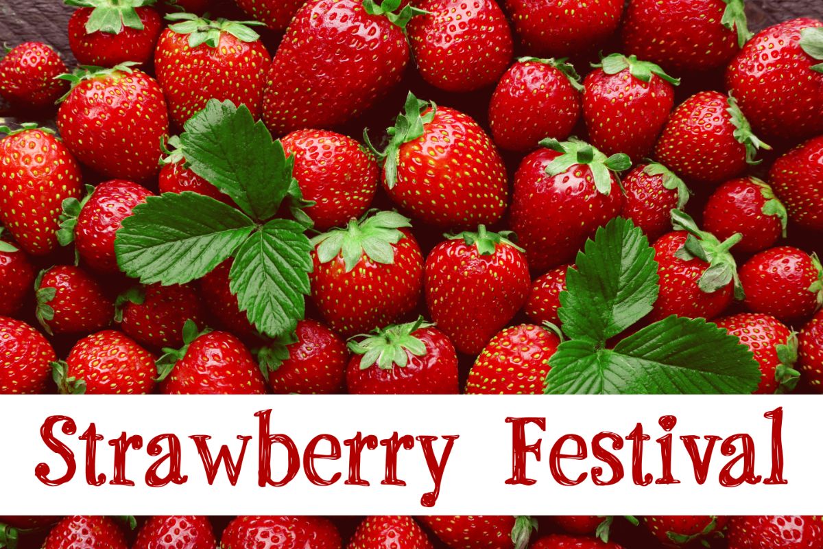 Strawberry Festival sign over fresh ripe strawberries