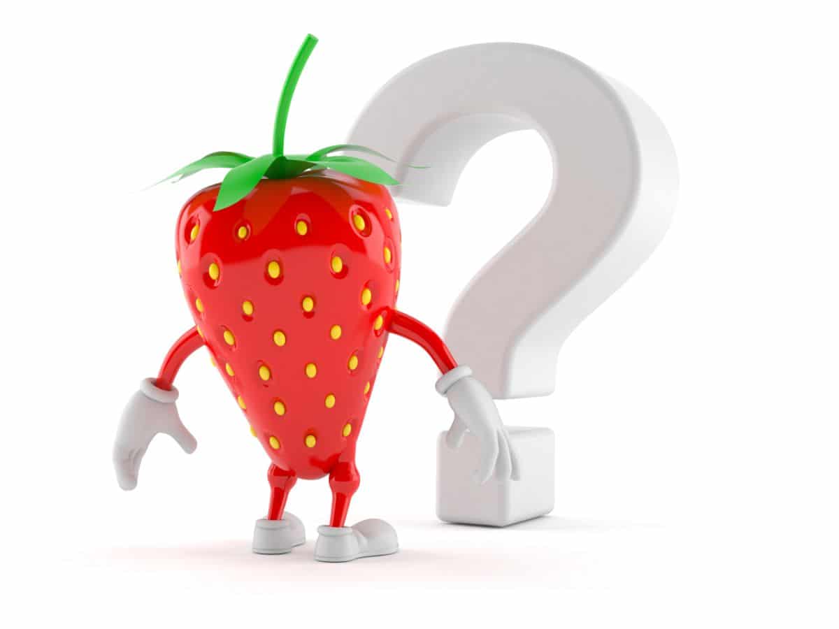 Strawberry cartoon guy standing in front of question mark, white background