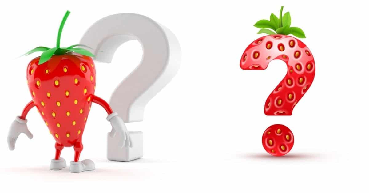 Strawberry Questions & Answers Strawberry Plants
