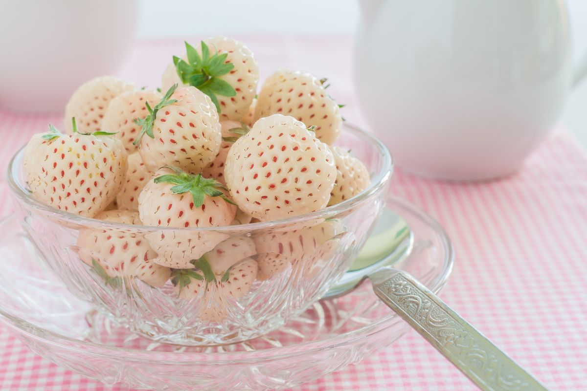 Glass bowl full of pineberries on pink white table cloth
