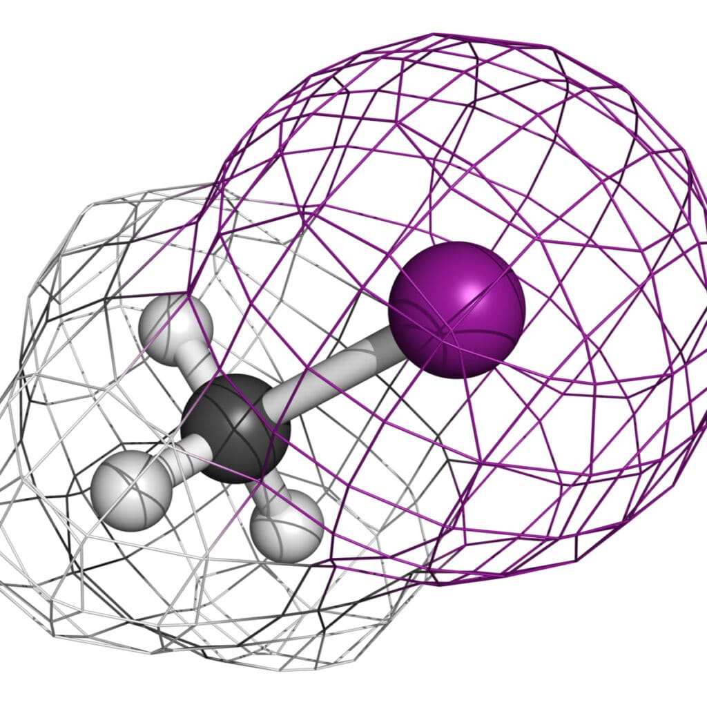 Strawberry Plants Per Person? Strawberry Plants