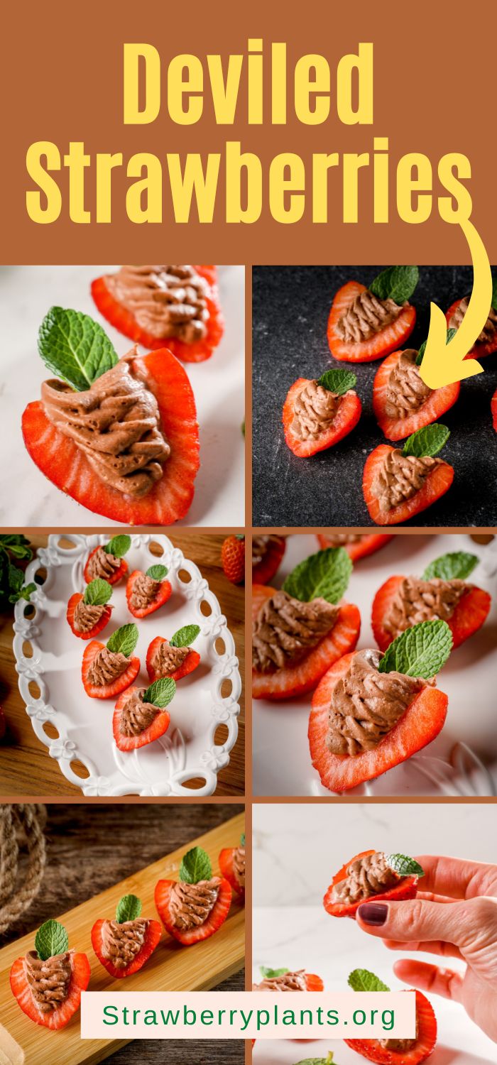 Deviled Strawberries With Chocolate and Cream Cheese Strawberry Plants