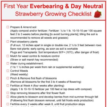 Free Download for Everbearing and Day Neutral Strawberries: First Year Grower’s Checklist