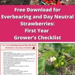 Free Download for Everbearing and Day Neutral Strawberries: First Year Grower’s Checklist pinterest image