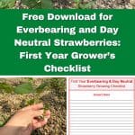 Free Download for Everbearing and Day Neutral Strawberries: First Year Grower’s Checklist pinterest image