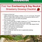 Free Download for Everbearing and Day Neutral Strawberries: First Year Grower’s Checklist pinterest image