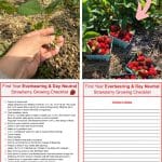 Free Download for Everbearing and Day Neutral Strawberries: First Year Grower’s Checklist pinterest image