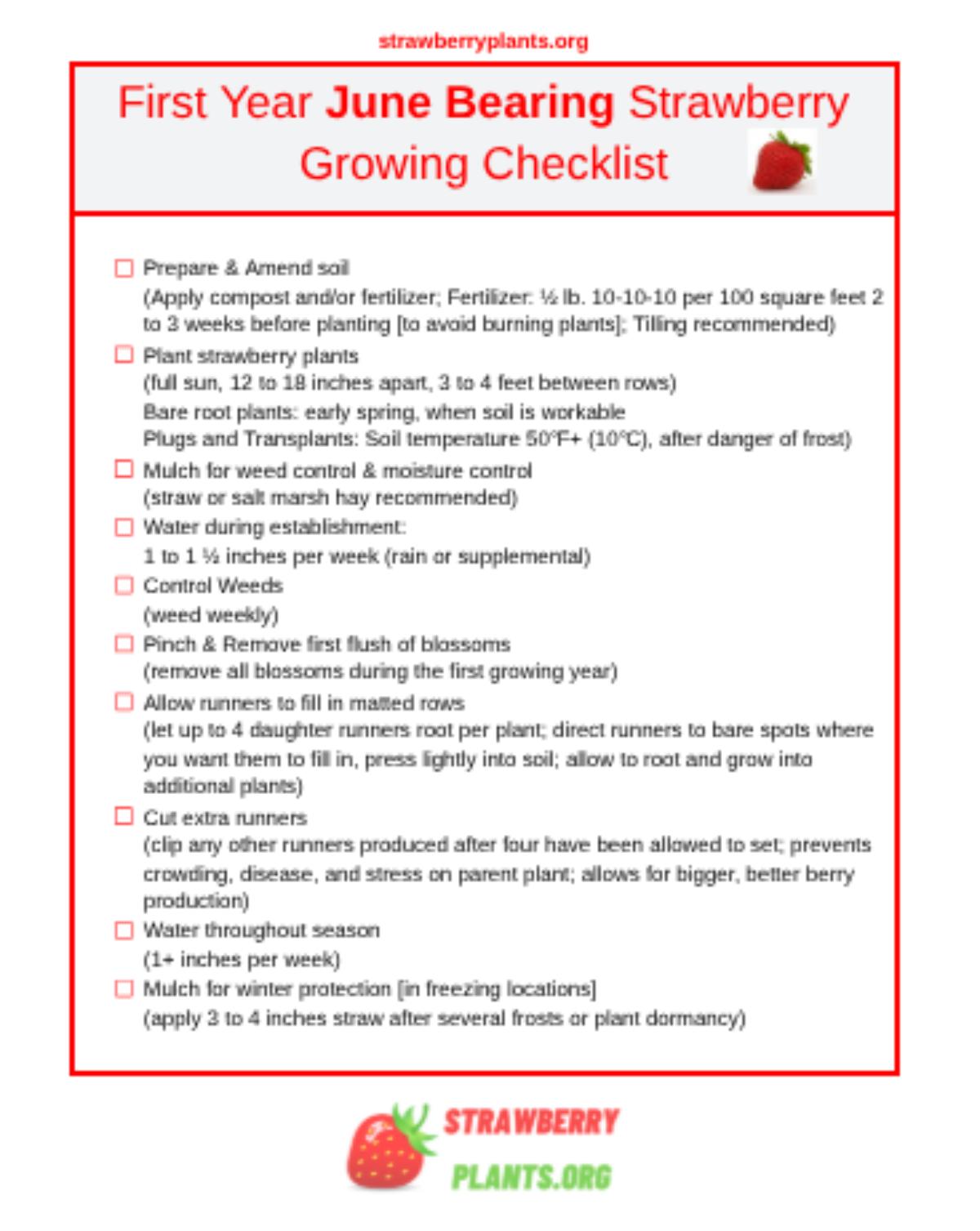Picture of strawberry growing Checklist -- first year June bearing